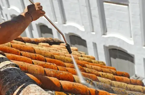 Nettoyage de toitures - Art-sur-Meurthe